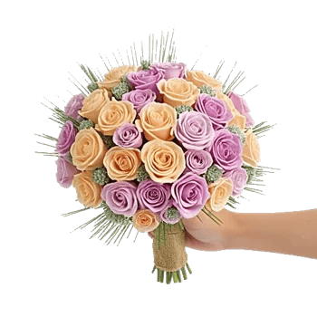 Pastel Pink Roses