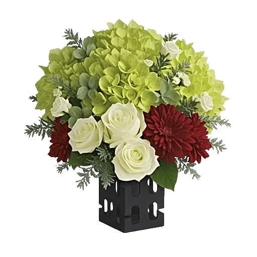 Ivory Blossom Radiance