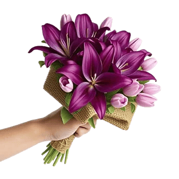 Blossom Harmony Display