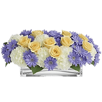 Delicate Petal Cascade