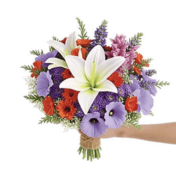 Blossom Harmony Display