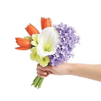 Elegant Calla Lilies