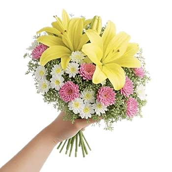 Blossom Harmony Display