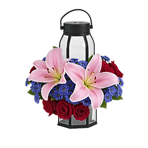 Crimson Lily Glow