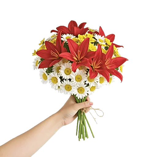 Graceful Lily Display