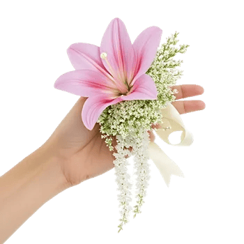 Blushing Rose Symphony