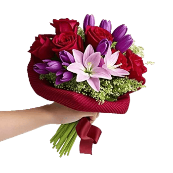 Crimson Rose Elegance