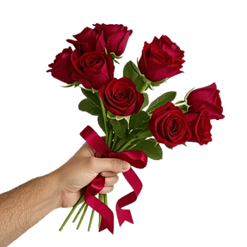 Crimson Rose Elegance