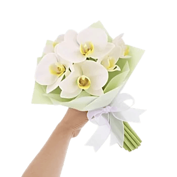 Minimalist White Orchids