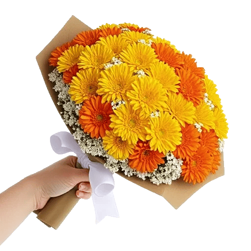 Golden Petal Harmony