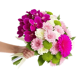 Modern White Orchids