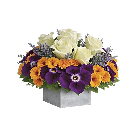 Petal Radiance Bliss