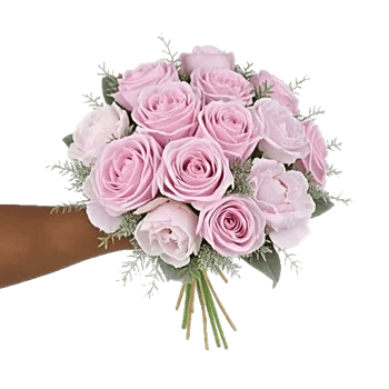Pastel Pink Roses