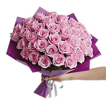 Pastel Pink Roses