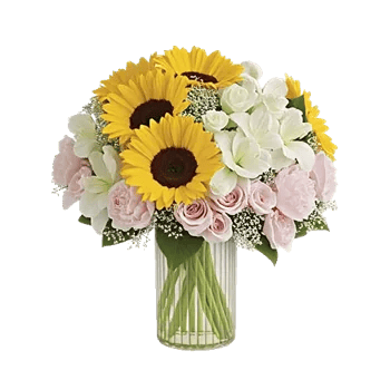 Petal Radiance Bliss