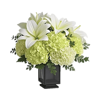 Ivory Blossom Radiance
