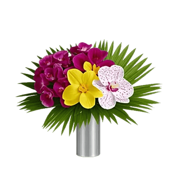 Orchid Bloom Cascade