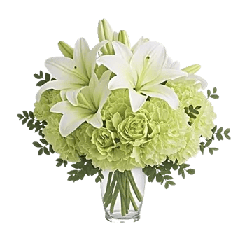 Ivory Blossom Radiance