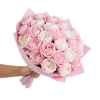 Peony Petal Harmony