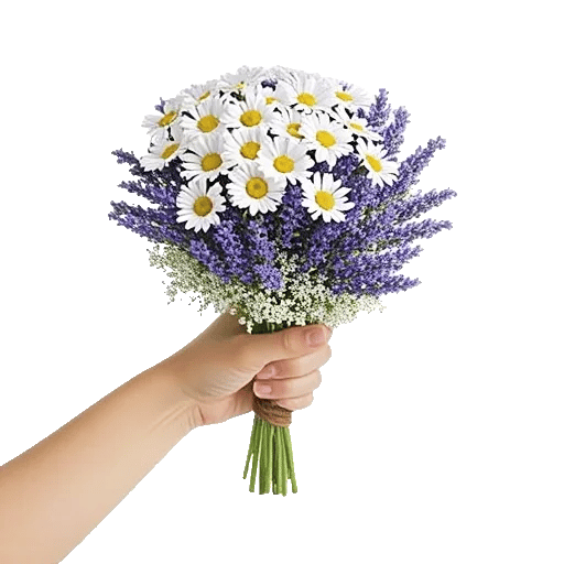 Enchanting Daisy Garden