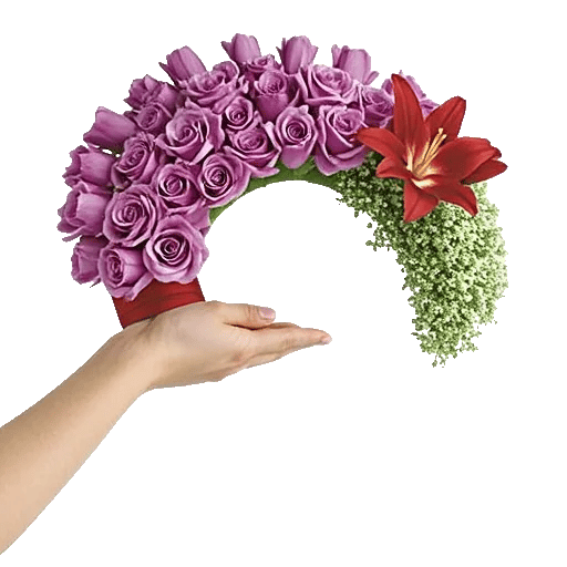 Crimson Rose Elegance