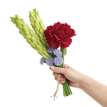 Crimson Blossom Harmony