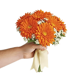 Radiant Bloom Cascade