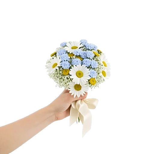 Blossom Petal Serenity