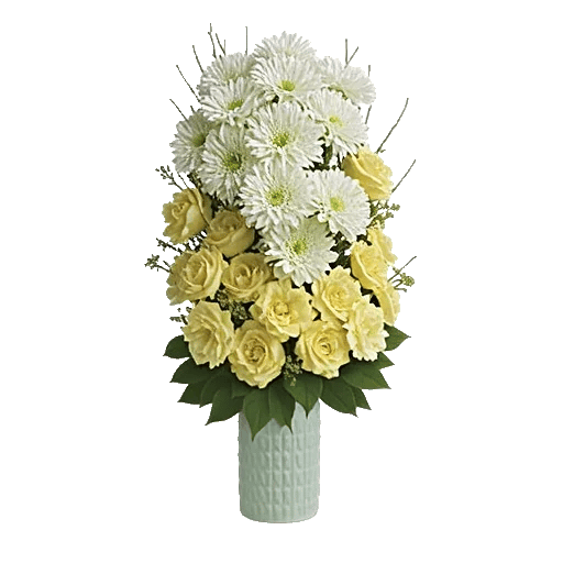 Ivory Blossom Radiance