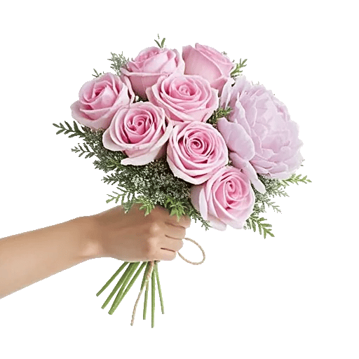Pastel Pink Roses