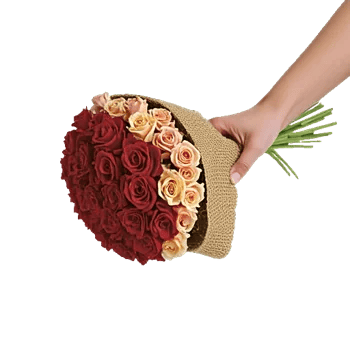 Blushing Rose Symphony