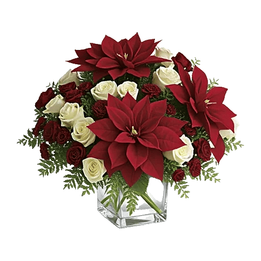 Petal Radiance Bliss