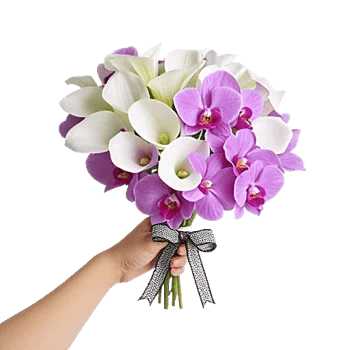 Elegant Calla Lilies