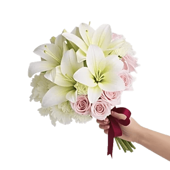 Blushing Rose Symphony