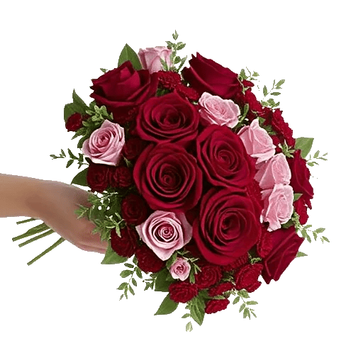 Crimson Rose Elegance