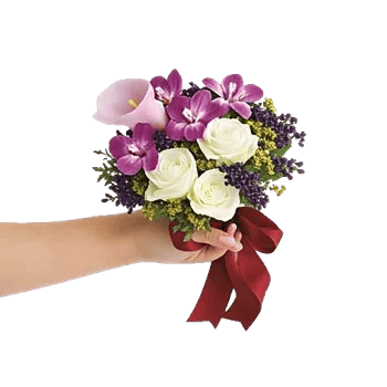 Elegant Calla Lilies