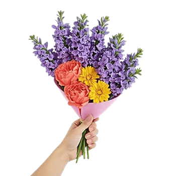 Petal Radiance Bliss