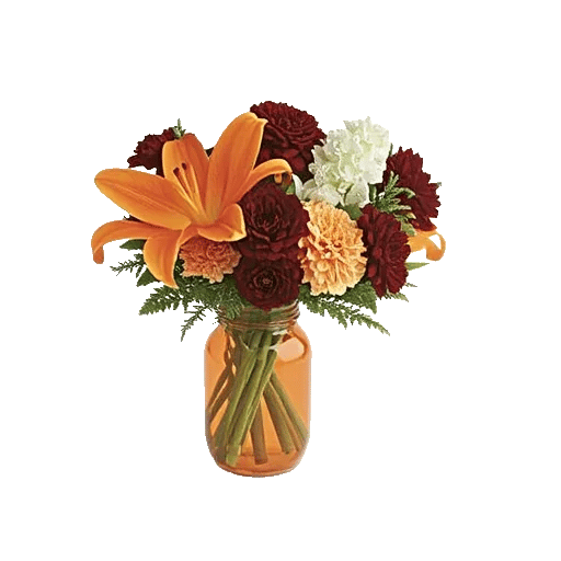 Petal Radiance Bliss