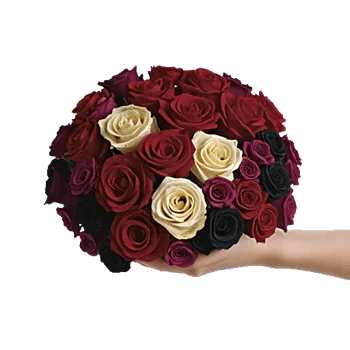 Crimson Rose Elegance