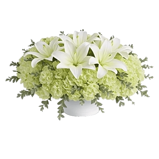 Graceful Lily Display