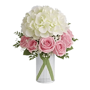 Ivory Blossom Radiance