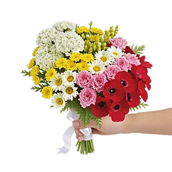 Delicate Petal Cascade