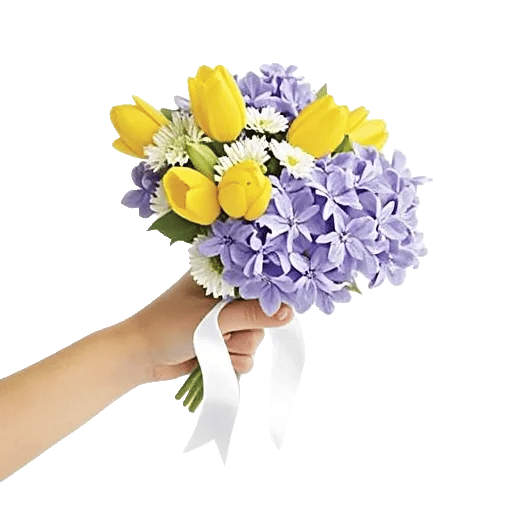 Blossom Harmony Display