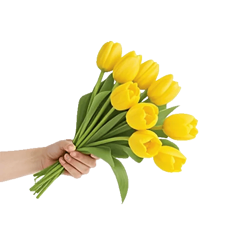 Blossom Harmony Display