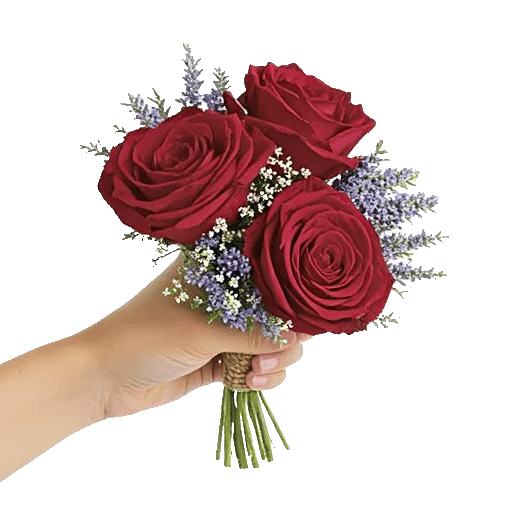 Crimson Rose Elegance