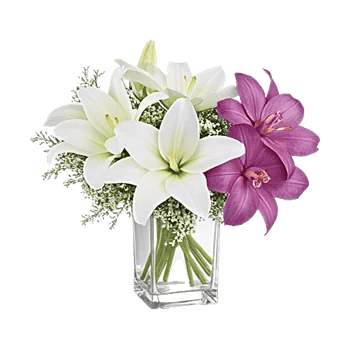 Graceful Lily Display