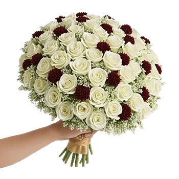 Crimson Rose Elegance