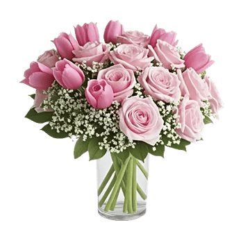 Velvet Tulip Display