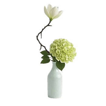 Cherry Blossom Magic