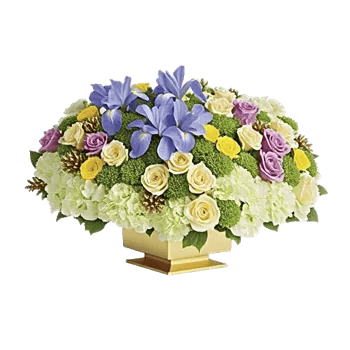 Ivory Blossom Radiance